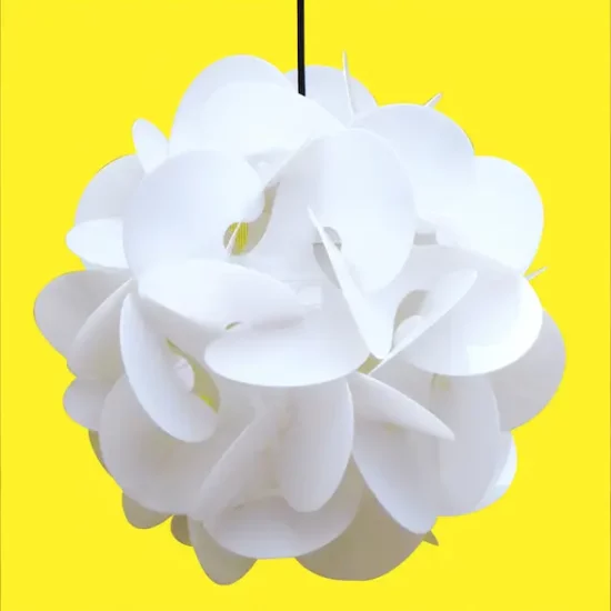 Suspension Radiolaire de Raoul Raba 1968